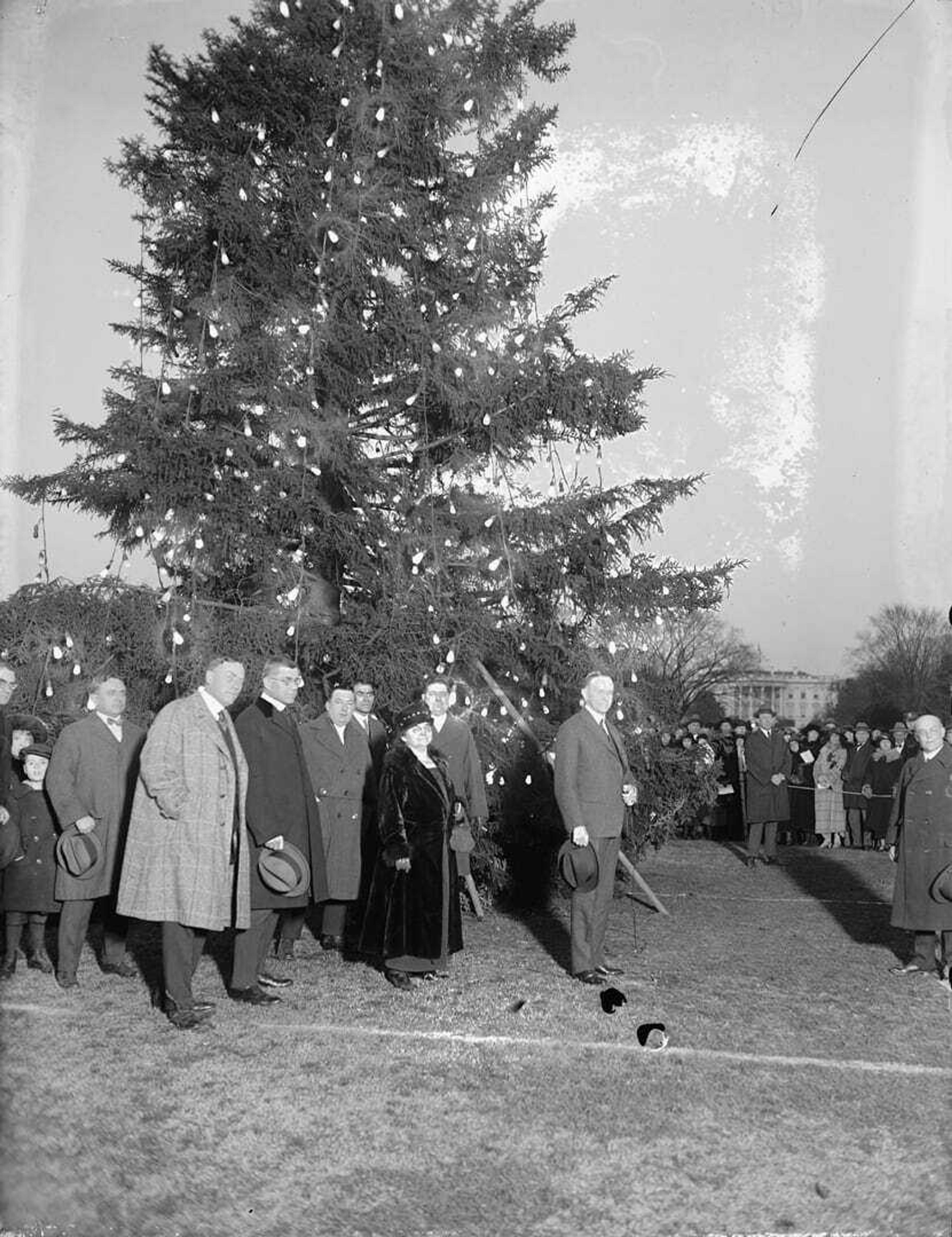 1081 mas 1923 ca coolidge and group with christmas tree loc crop