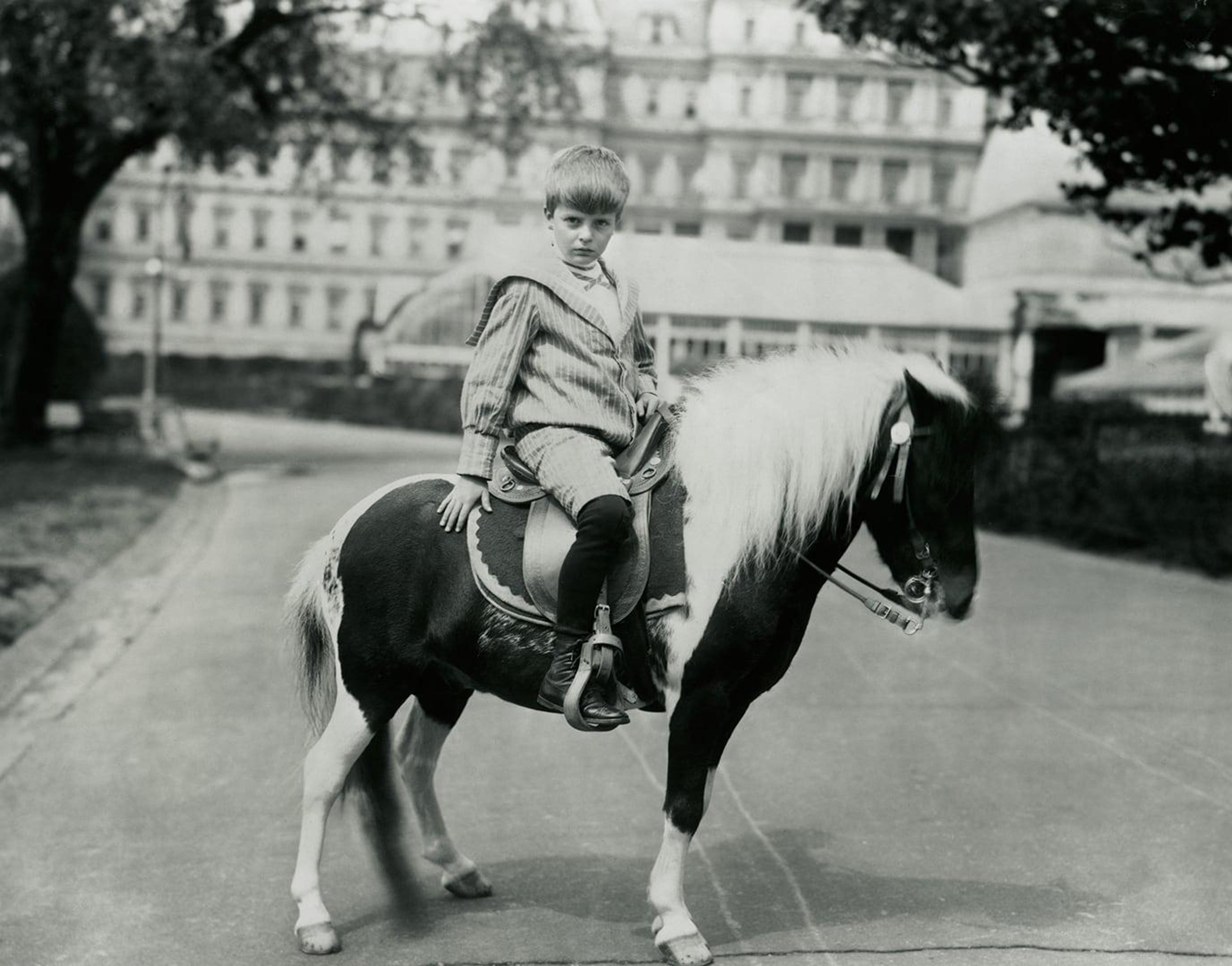 1642 mas 1902 archie roosevelt on pony algonquin whha