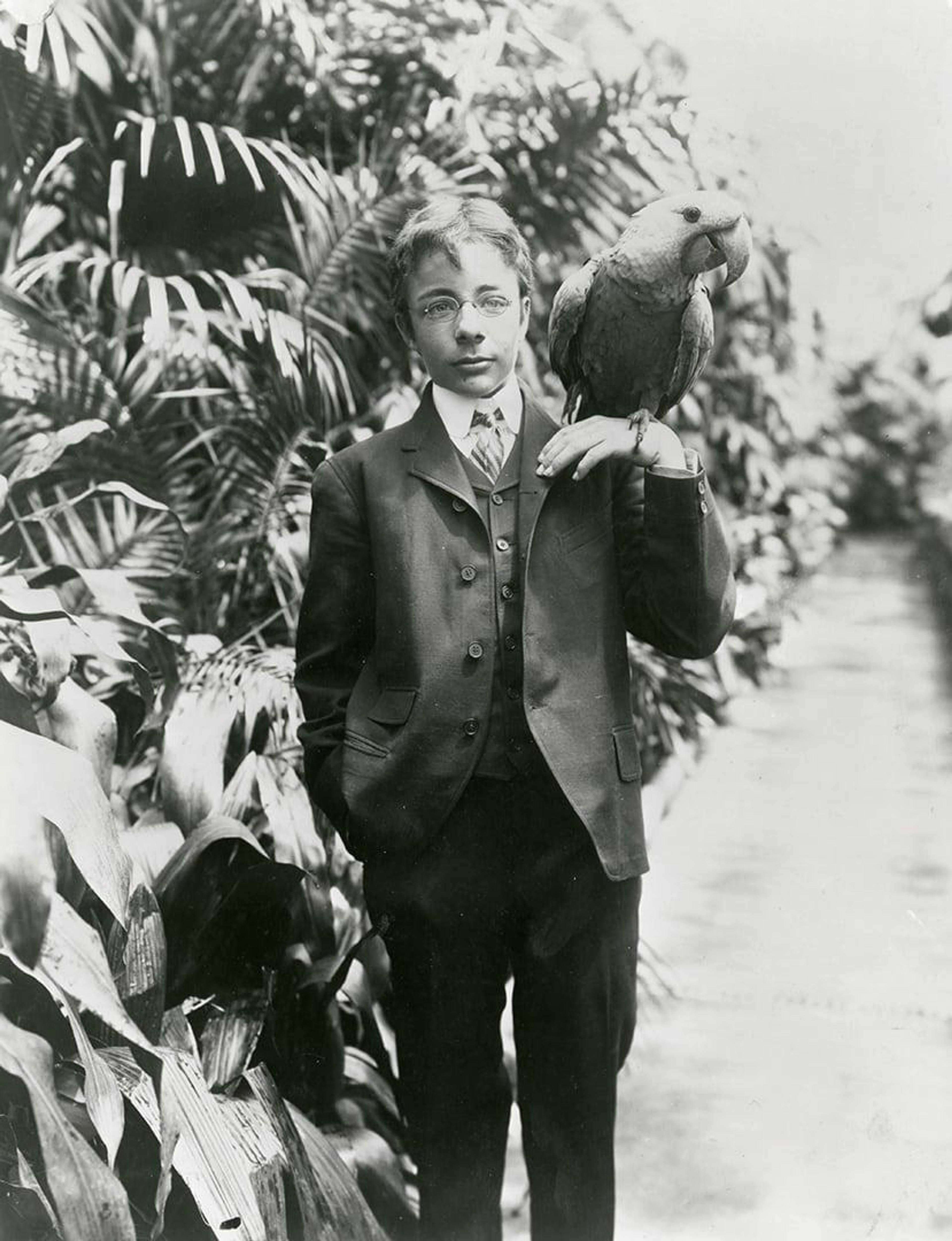 1643 mas 1902 teddy roosevelt jr with pet macaw whha
