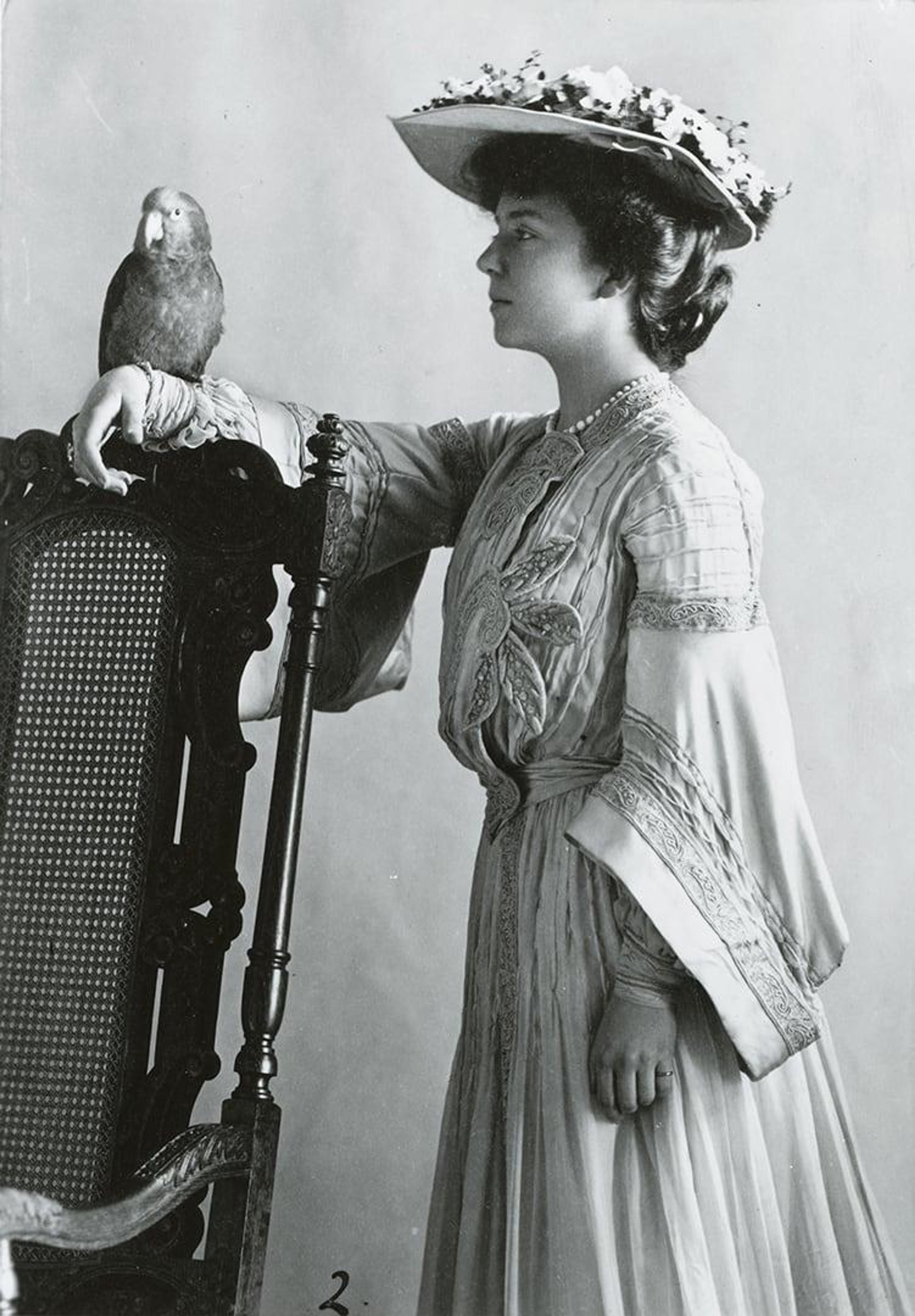 1644 mas 1904 ca alice roosevelt with parrot whha