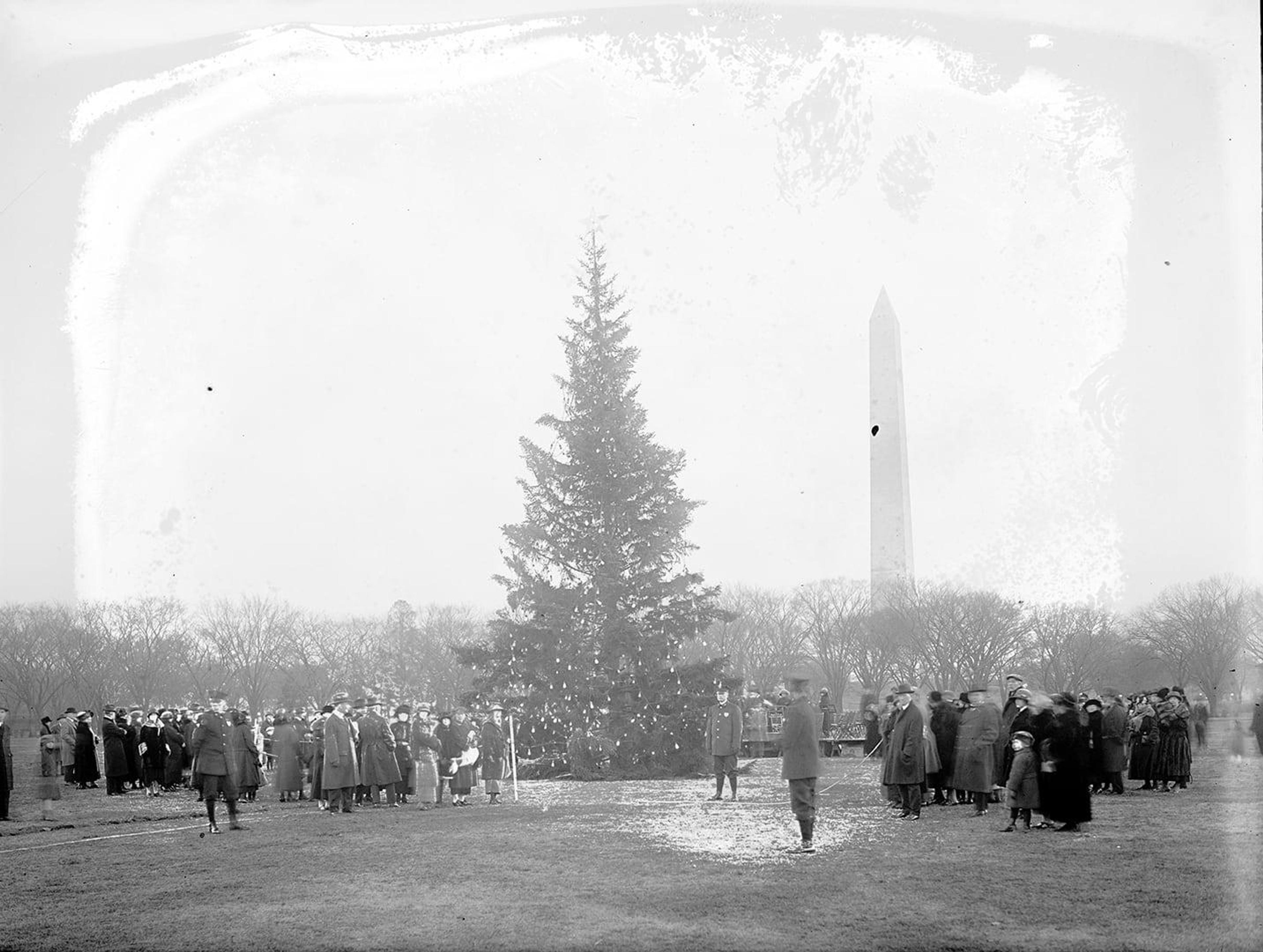 4993 mas 1923 national christmas tree lighting whha