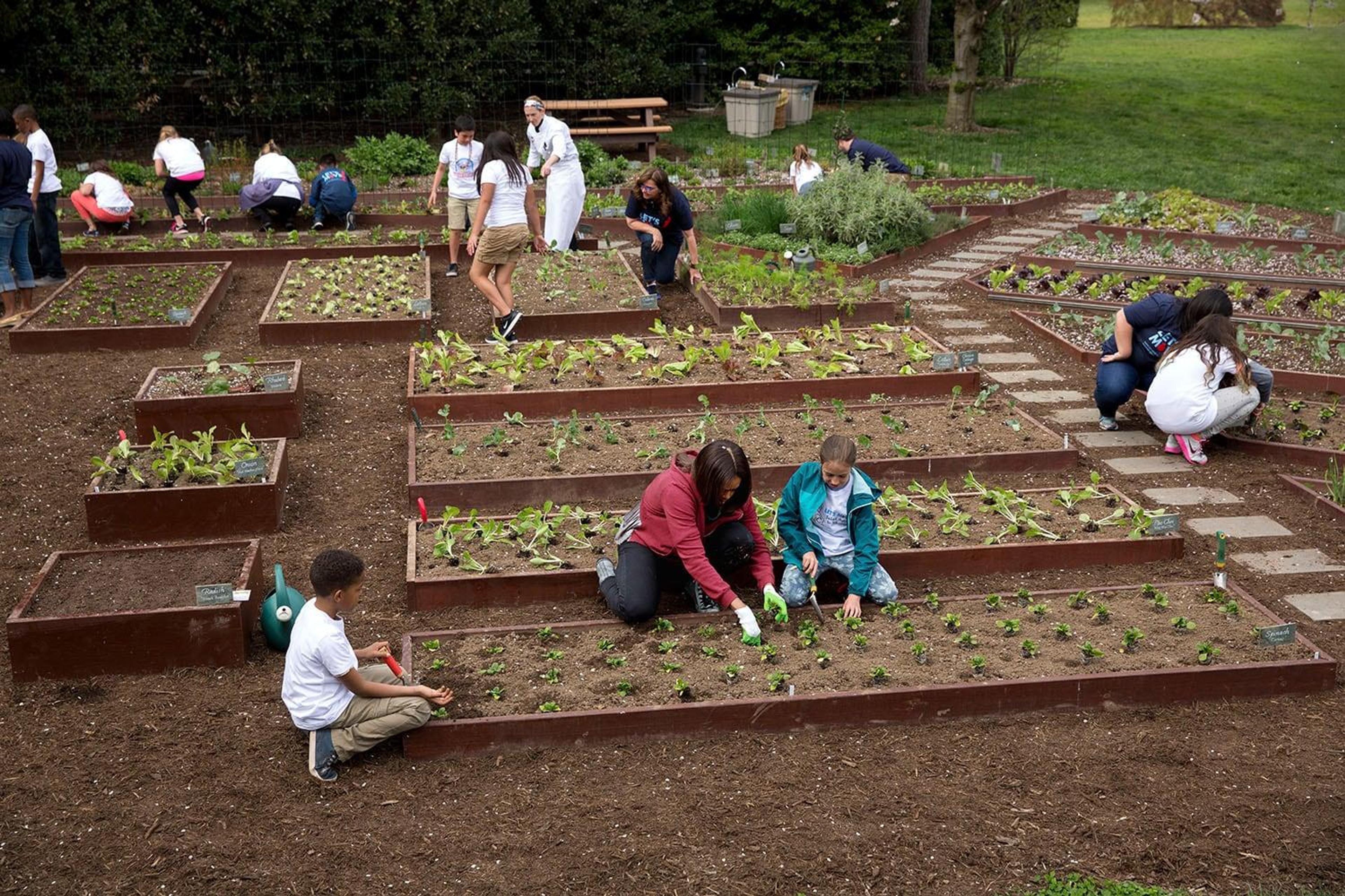 5193 scr 2015 michelle obama joins students for the spring garden planting fli